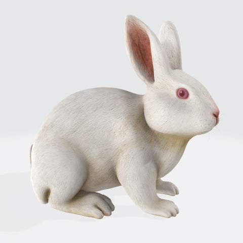 White Rabbit 3D Model Ready to Print
