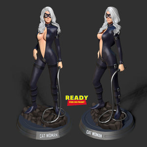 Black Cat Fanart 3D Model Ready to Print