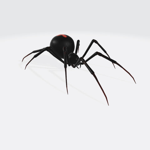 Black Widow Spider 3D Model Ready to Print