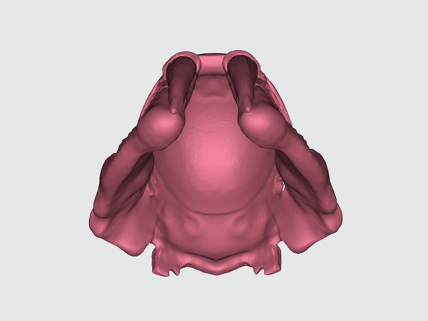 Boba Fett Skull Helmet STL 3D Print Files