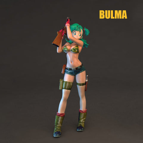 Bulma Dragon Ball 3D Model Ready to Print