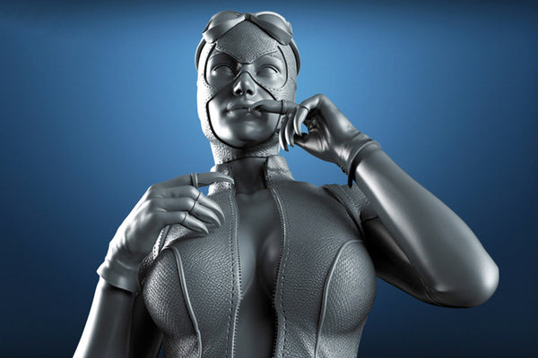 Catwoman Figure 3D Model Ready to Print