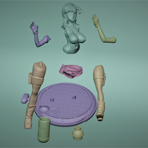 Dragon Ball Bulma Pen Holder 3D Figures Ready to Print