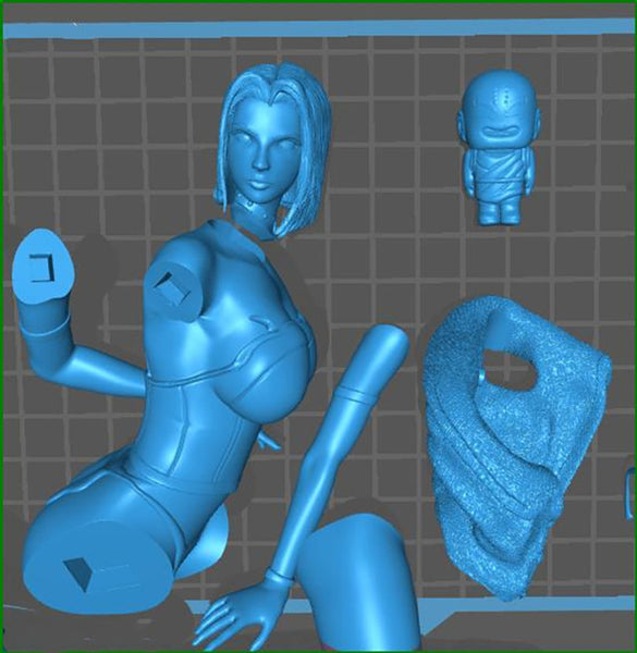 Dragon Ball Z - Android 18 vs Krillin Figure 3D Model Ready to Print