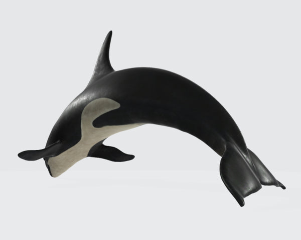 Killer Whale 3D Model Ready to Print