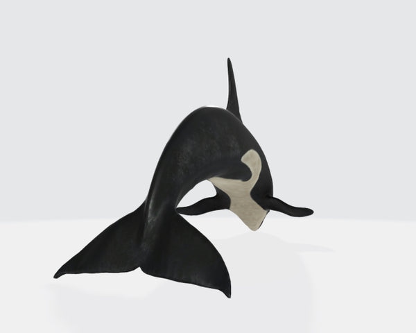 Killer Whale 3D Model Ready to Print