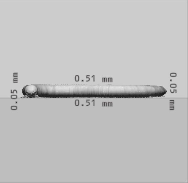 Millipede 3D Model Ready to Print