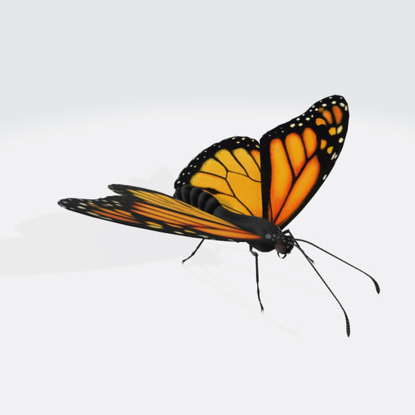 Monarch Butterfly 3D Model Ready to Print