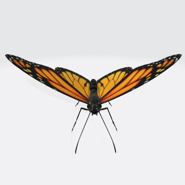 Monarch Butterfly 3D Model Ready to Print