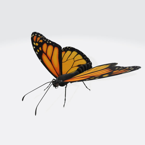 Monarch Butterfly 3D Model Ready to Print