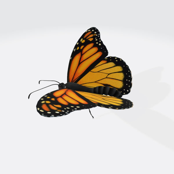 Monarch Butterfly 3D Model Ready to Print