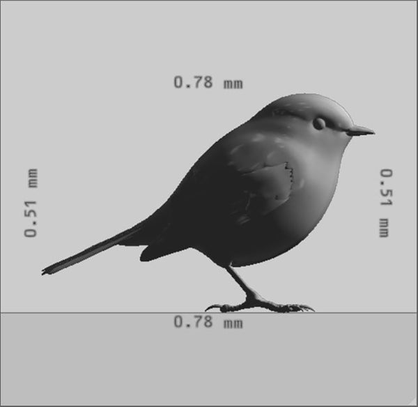 Robin Bird 3D Model Ready to Print