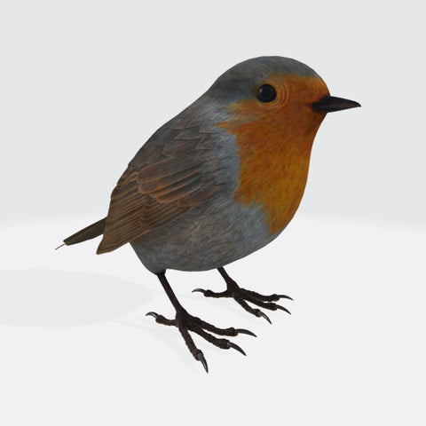 Robin Bird 3D Model Ready to Print