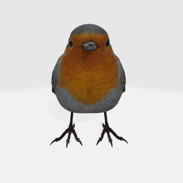 Robin Bird 3D Model Ready to Print