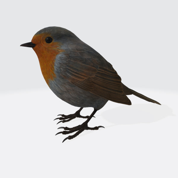 Robin Bird 3D Model Ready to Print