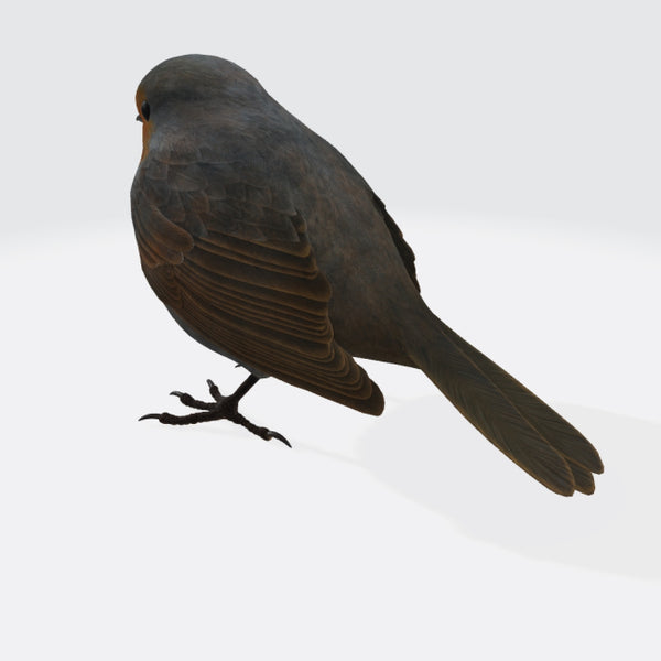 Robin Bird 3D Model Ready to Print