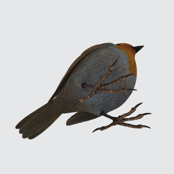 Robin Bird 3D Model Ready to Print