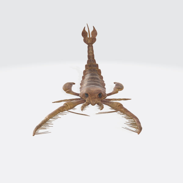 Scorpion 3D Model Ready to Print