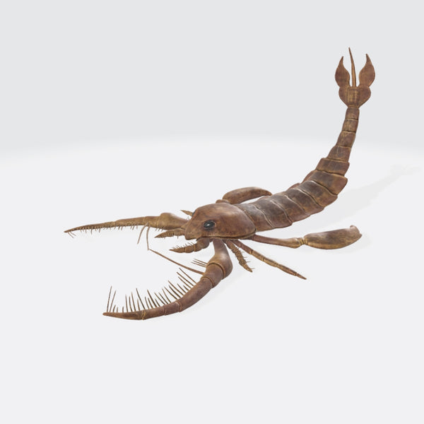 Scorpion 3D Model Ready to Print