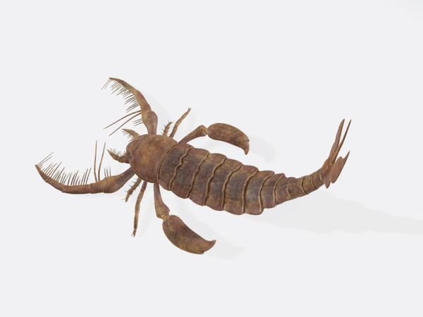 Scorpion 3D Model Ready to Print