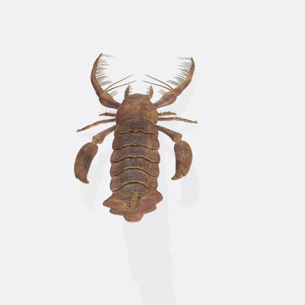 Scorpion 3D Model Ready to Print