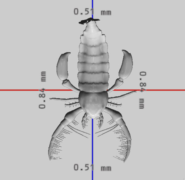 Scorpion 3D Model Ready to Print