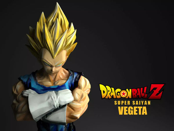 Super Saiyan Vegeta 3D Model Ready to Print