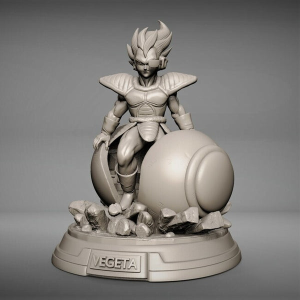 Vegeta in Capsule 3D Model Ready to Print