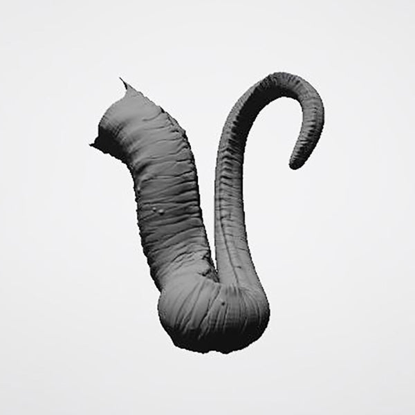 We Are Venom 3D Model Ready to Print