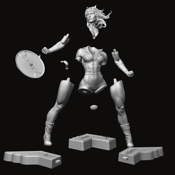 Wonder Woman from DC 3D Model Ready to Print