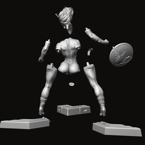 Wonder Woman from DC 3D Model Ready to Print