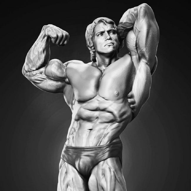 Arnold Schwarzenegger 3D Model STL format Ready to print 3D print model