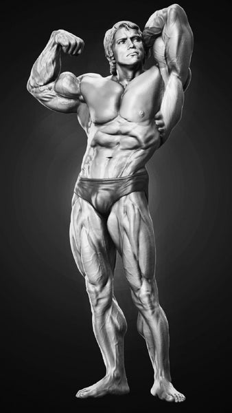 Arnold Schwarzenegger 3D Model STL format Ready to print 3D print model