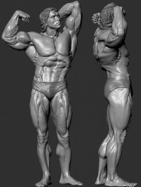 Arnold Schwarzenegger 3D Model STL format Ready to print 3D print model