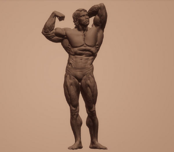 Arnold Schwarzenegger 3D Model STL format Ready to print 3D print model