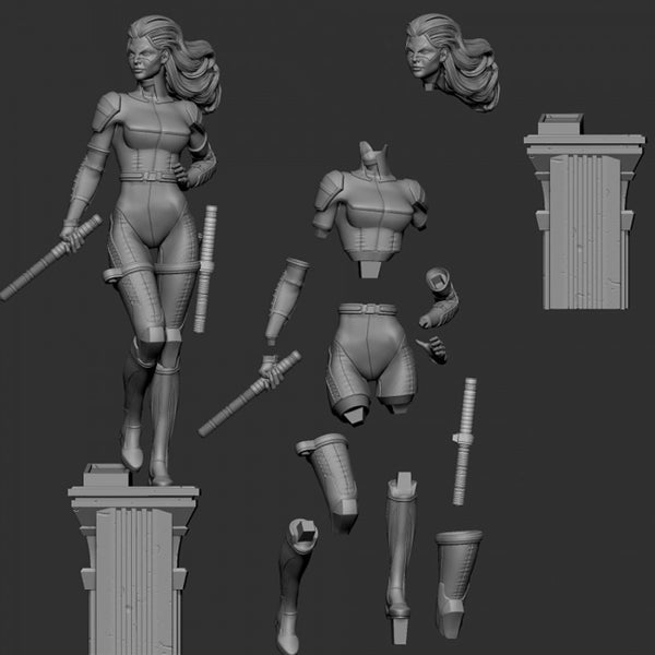 Black Canary DC 3D Model Ready to Print STL