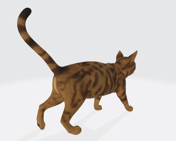 Cat 3D Model Ready to Print