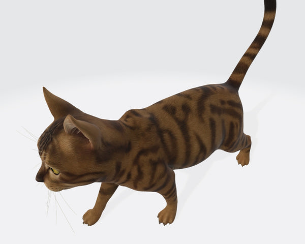 Cat 3D Model Ready to Print