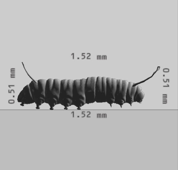 Caterpillar 3D Model Ready to Print