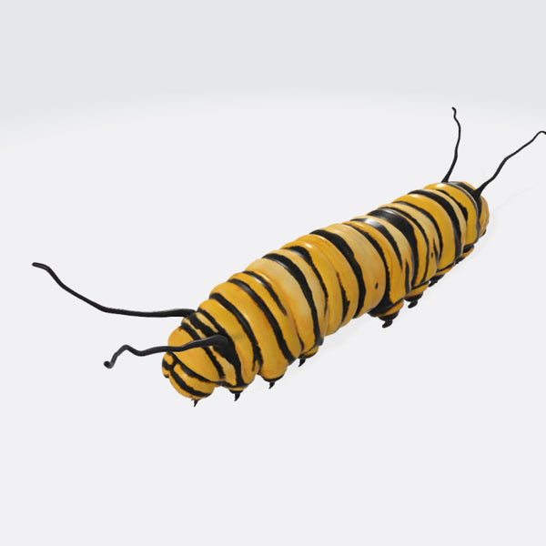 Caterpillar 3D Model Ready to Print