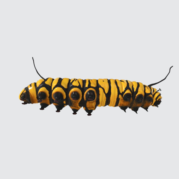 Caterpillar 3D Model Ready to Print