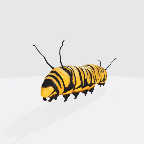 Caterpillar 3D Model Ready to Print