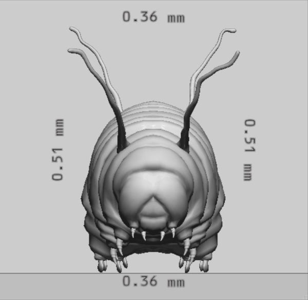 Caterpillar 3D Model Ready to Print