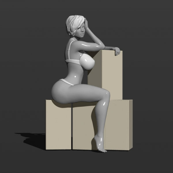 Sexy girl sits on boxes 3D model ready print