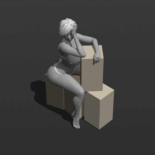 Sexy girl sits on boxes 3D model ready print