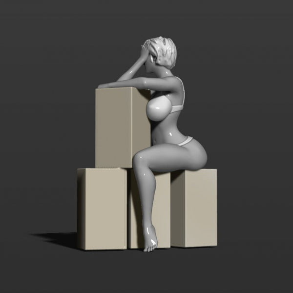 Sexy girl sits on boxes 3D model ready print