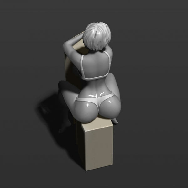 Sexy girl sits on boxes 3D model ready print