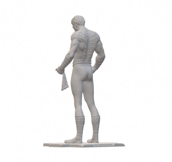 Spiderman - Peter Parker 3D Model Ready to Print STL