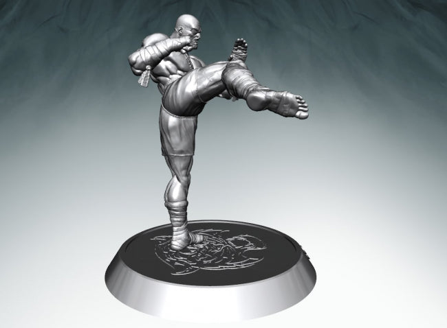 Ryu Street Fighter Alpha | 3D Print Model